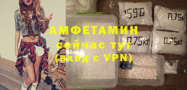 прущие грибы Армянск